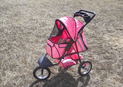 Dinah's New Stroller 2012-03-09