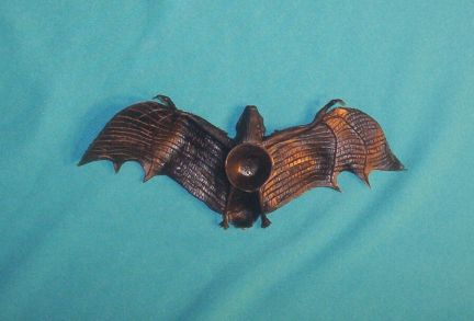Rubber Bat